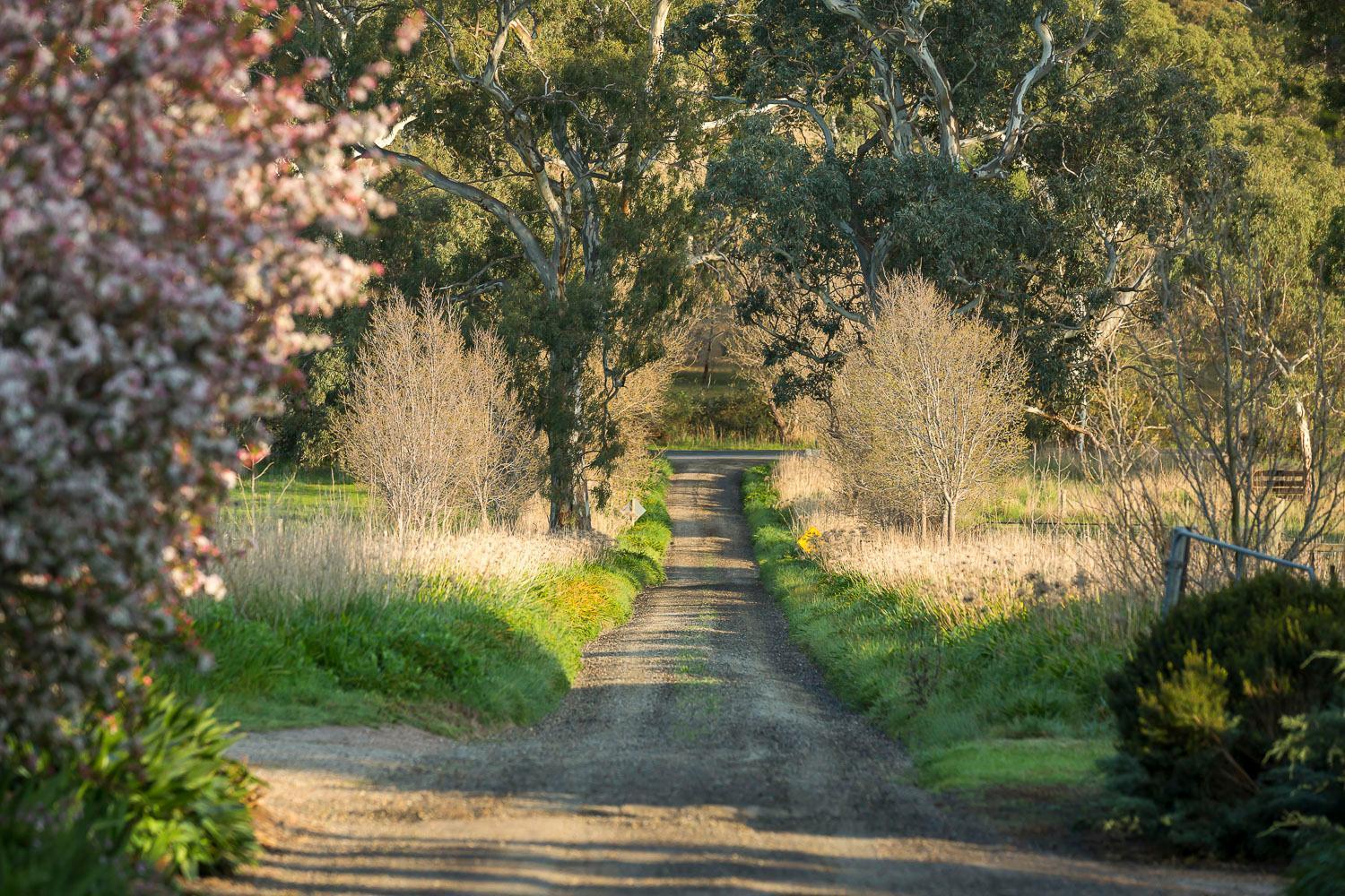 Al Ru Farm Bed & Breakfast One Tree Hill Eksteriør bilde