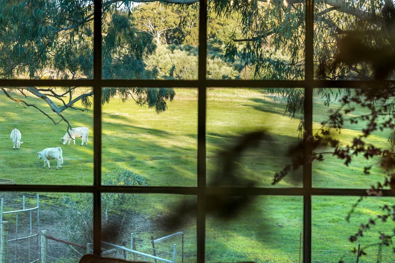 Al Ru Farm Bed & Breakfast One Tree Hill Eksteriør bilde